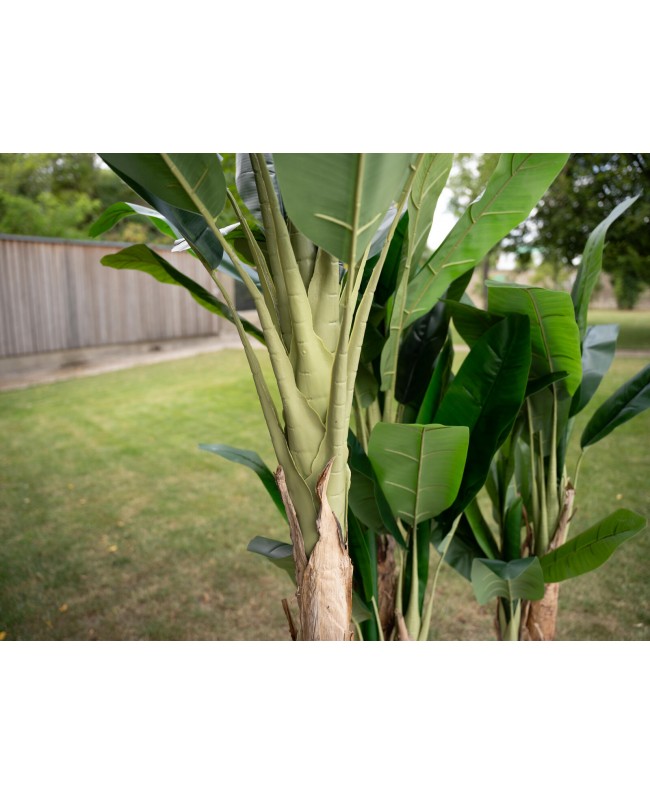 Europalms Banana Tree, artificial plant, 210cm Flowers & Plants