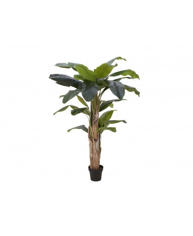 Europalms Banana Tree, artificial plant, 170cm Fiori & piante