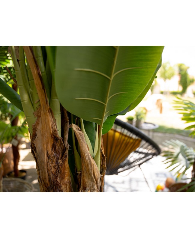 Europalms Bananenbaum, Kunstpflanze, 170cm Blumen & Pflanzen