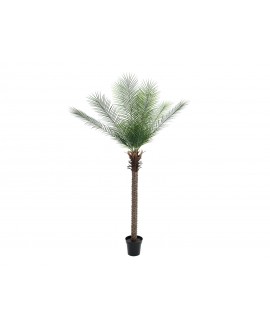 Europalms Phönix Palme deluxe, Kunstpflanze 220cm Blumen & Pflanzen