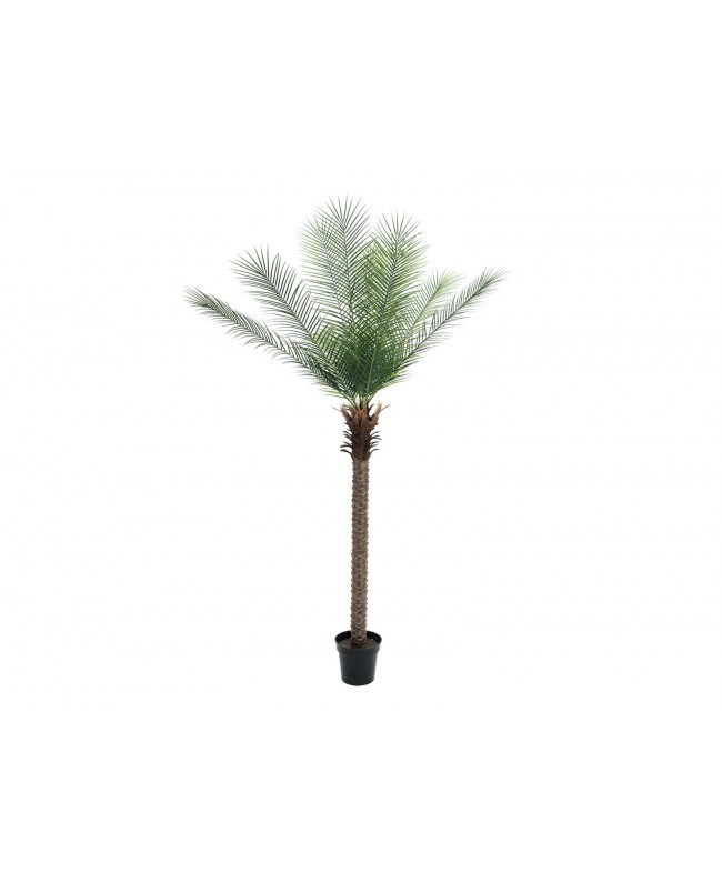 Europalms Phoenix Palm Deluxe, artificial plant, 220cm Fiori & piante