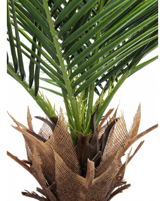 Europalms Phoenix Palm Deluxe, artificial plant, 220cm Fiori & piante