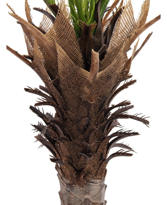 Europalms Phoenix Palm Deluxe, artificial plant, 220cm Fiori & piante