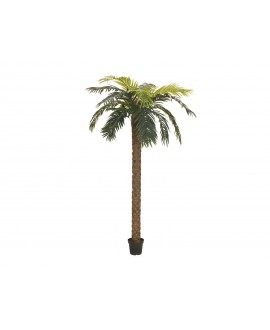 Europalms Phoenix Palm Deluxe, artificial plant, 250cm Flowers & Plants