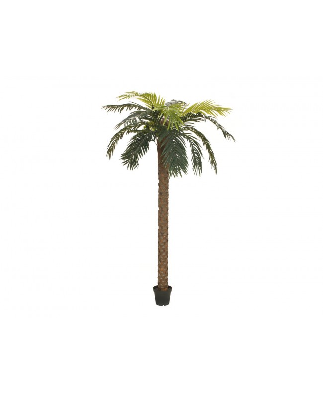 Europalms Phönix Palme deluxe, Kunstpflanze, 250cm Blumen & Pflanzen
