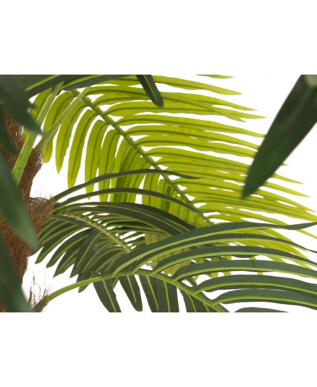 Europalms Phoenix Palm Deluxe, artificial plant, 250cm Fiori & piante