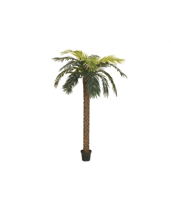 Europalms Phönix Palme deluxe, Kunstpflanze, 300cm Blumen & Pflanzen