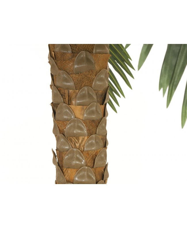 Europalms Phoenix Palm Deluxe, artificial plant, 300cm Fiori & piante