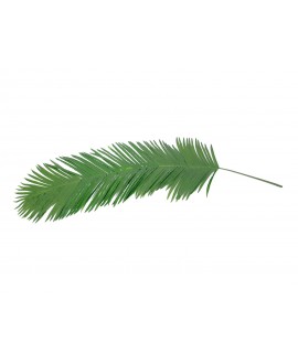 Europalms Coconut King Palm Branch, artificial, 180cm Fiori & piante