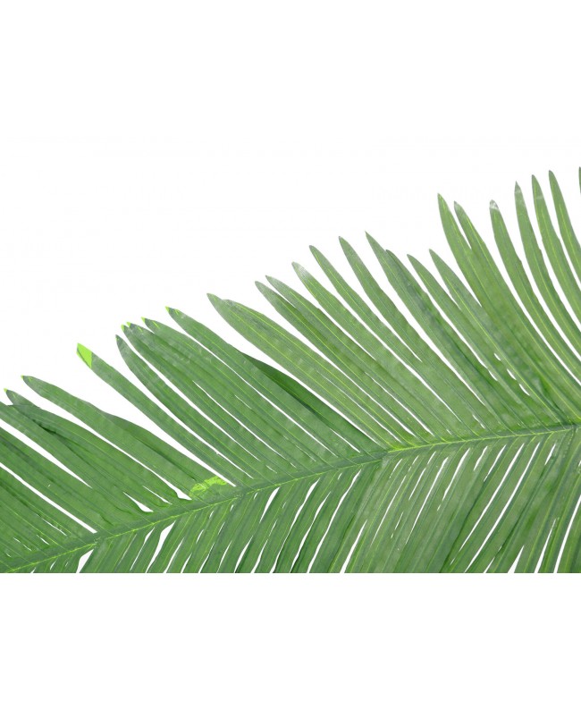 Europalms Coconut King Palm Branch, artificial, 180cm Flowers & Plants