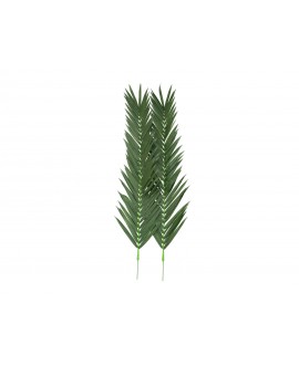Europalms Kokos-Königspalmwedel, künstlich, 210cm Blumen & Pflanzen