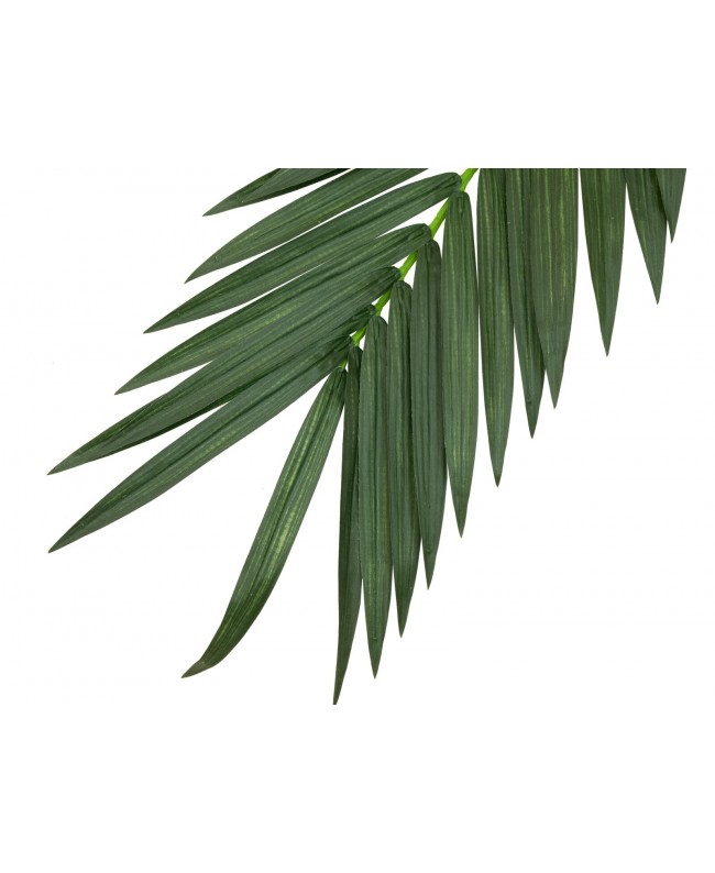 Europalms Coconut King Palm Branch, artificial, 210cm Fiori & piante