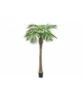 Europalms Phönixpalme luxor, Kunstpflanze, 210cm Blumen & Pflanzen