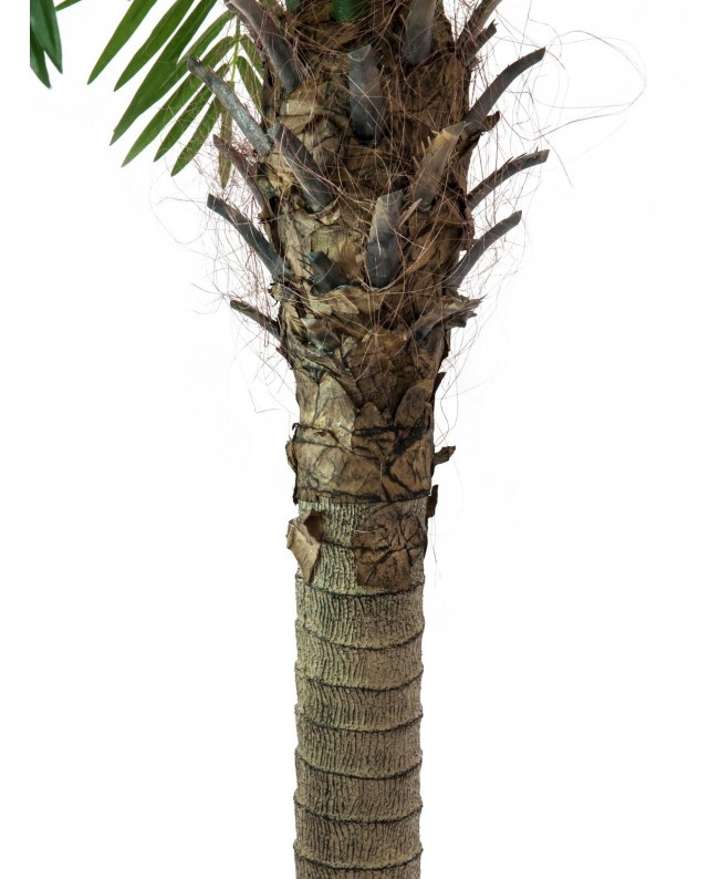 Europalms Phönixpalme luxor, Kunstpflanze, 210cm Blumen & Pflanzen