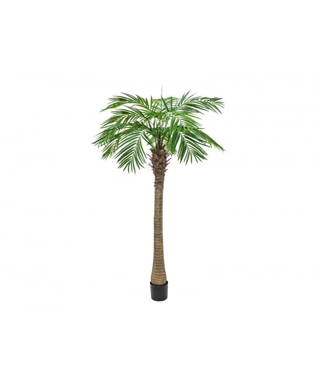 Europalms Phoenix Palm Tree Luxor, artificial plant, 240cm Fiori & piante