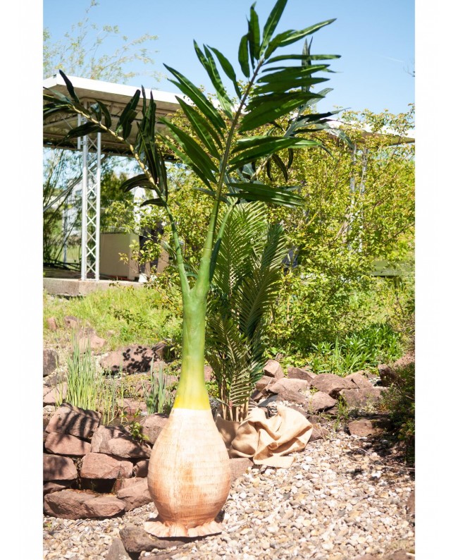 Europalms Phoenix Palm, artificial plant, 240cm Flowers & Plants