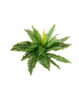 Europalms Boston Fern, artificial plant,53cm Fiori & piante