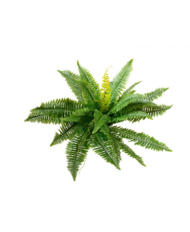 Europalms Boston Fern, artificial plant,53cm Flowers & Plants