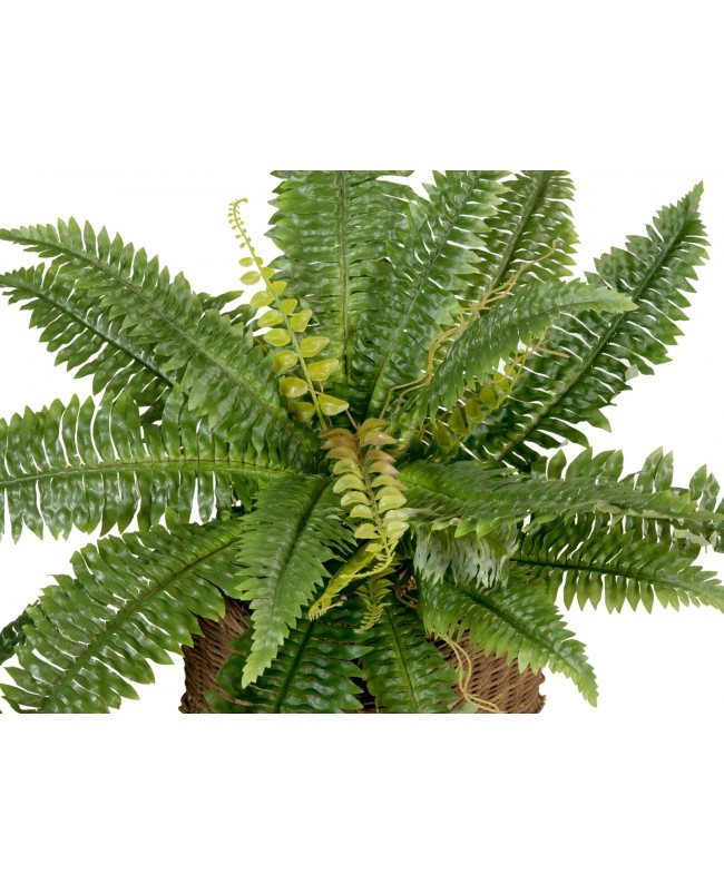 Europalms Boston Fern, artificial plant,53cm Flowers & Plants