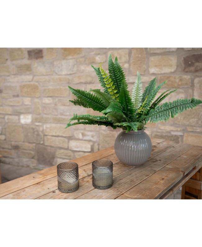 Europalms Boston Fern, artificial plant,53cm Flowers & Plants