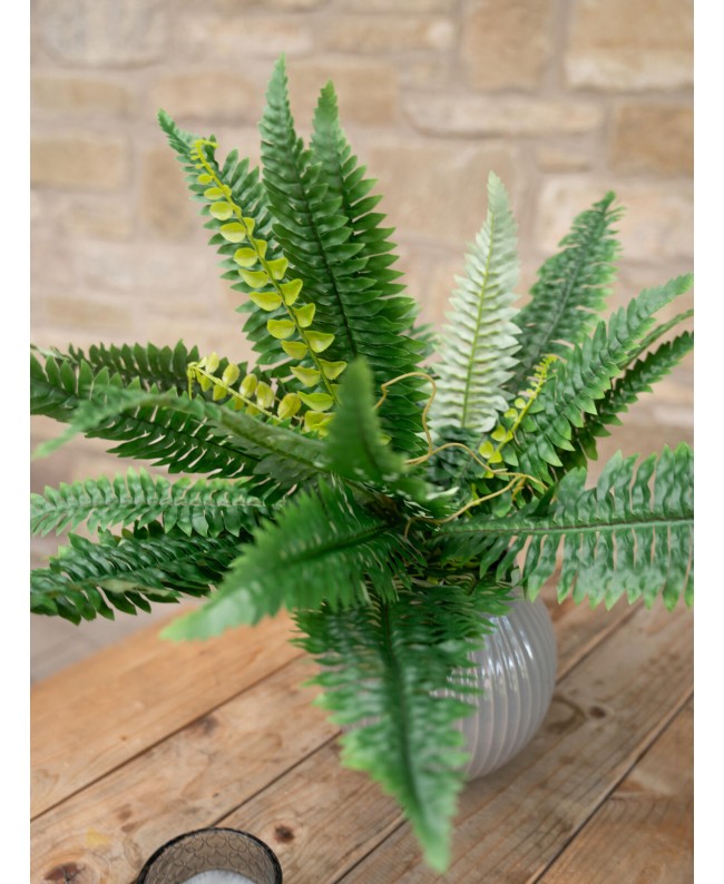 Europalms Boston Fern, artificial plant,53cm Flowers & Plants