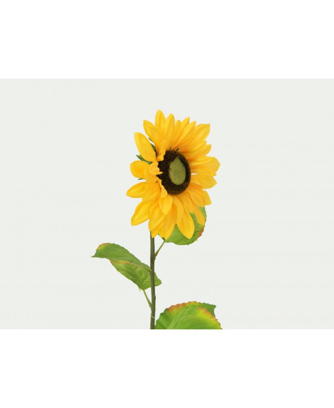 Europalms Sunflower, artificial plant, 70cm Flowers & Plants