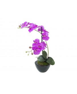 Europalms Orchid Arrangement 4, artificial Flowers & Plants