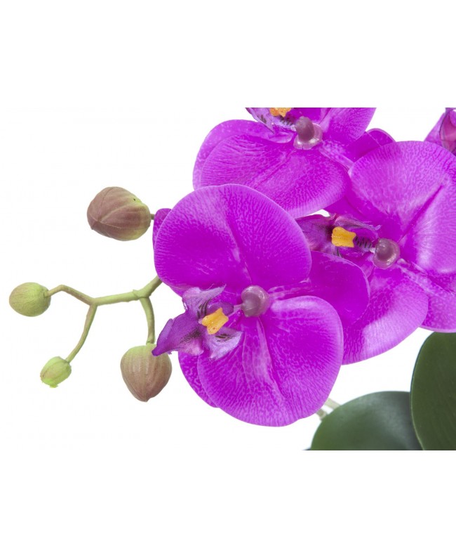 Europalms Orchideen-Arrangement 4, künstlich Blumen & Pflanzen