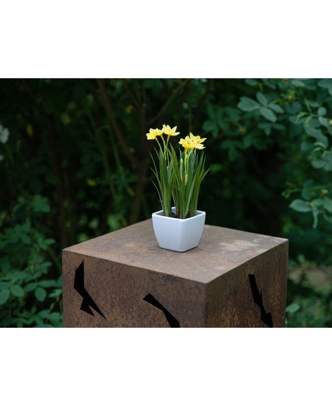 Europalms Daffodil, artificial plant, 23cm Fiori & piante