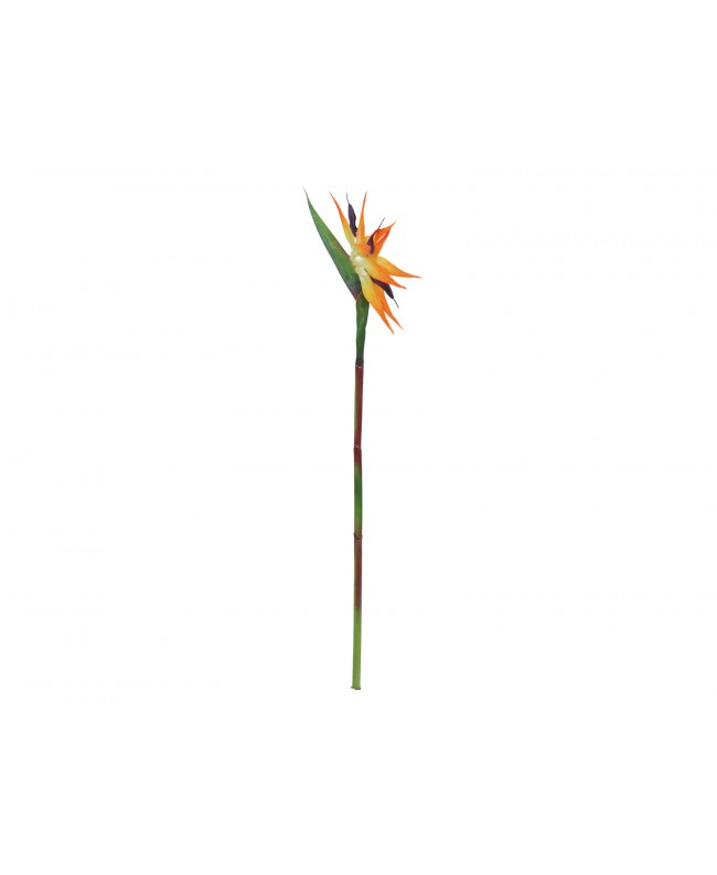 Europalms Bird-of-paradise Spray, artificial plant, orange, 95cm Flowers & Plants