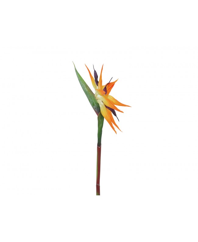 Europalms Bird-of-paradise Spray, artificial plant, orange, 95cm Flowers & Plants