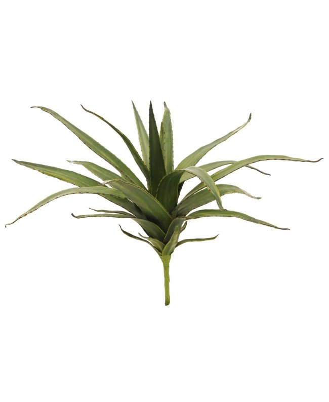 Europalms Aloe (EVA), künstlich, grün, 50cm Blumen & Pflanzen