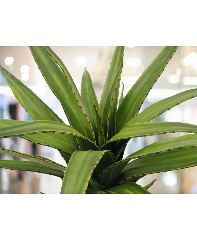 Europalms Aloe (EVA) artificiale, verde, 50cm Fiori & piante