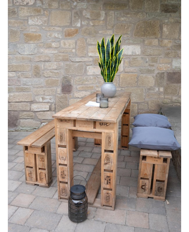 Europalms Bogenhanf (EVA), künstlich, grün-gelb, 60cm Blumen & Pflanzen