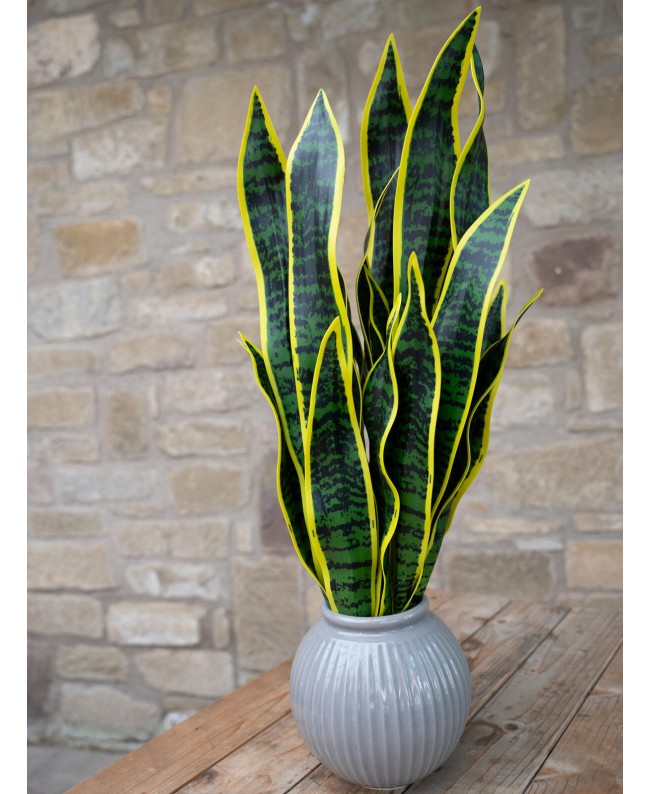 Europalms Snake Tongue (EVA), artificial, green-yellow, 60cm Flowers & Plants