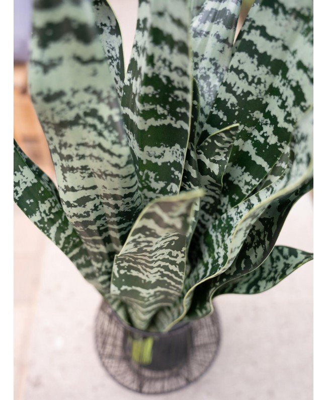 Europalms Lingua di serpente (EVA), artificiale, verde, 60 cm Fiori & piante