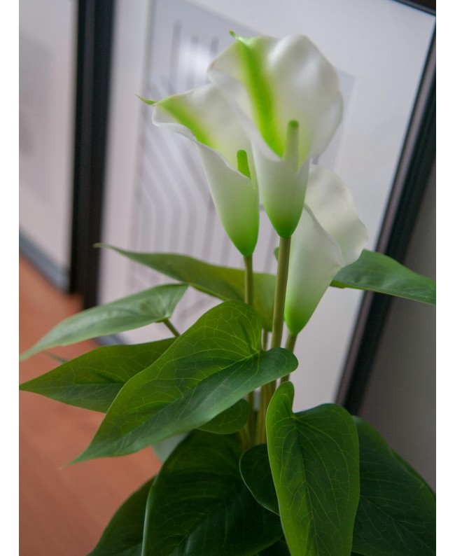 Europalms Mini Calla, artificial plant, white, 43cm Flowers & Plants