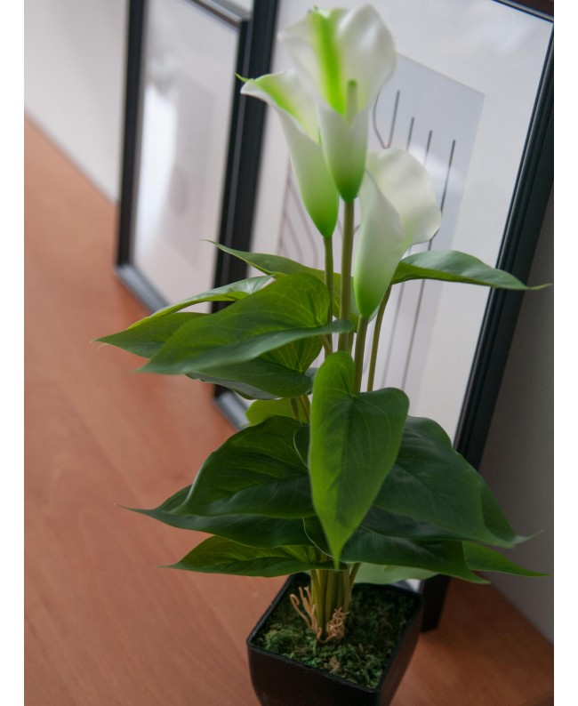 Europalms Mini Calla, pianta artificiale, bianca, 43 cm Fiori & piante