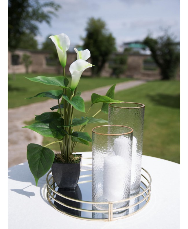 Europalms Mini Calla, artificial plant, white, 43cm Flowers & Plants