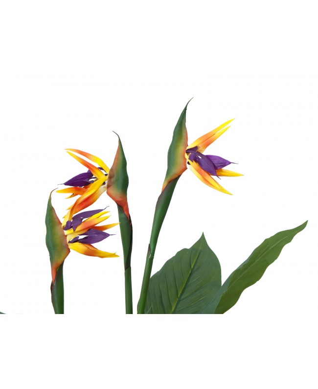 Europalms Bird-of-paradise Flower, artificial plant, 90cm Fiori & piante
