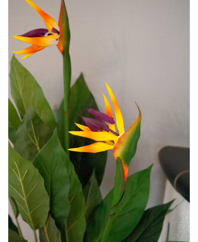 Europalms Strelitzie, Kunstpflanze, 90cm Blumen & Pflanzen