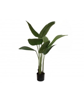 Europalms Strelitzia, artificial plant, 110cm Fiori & piante