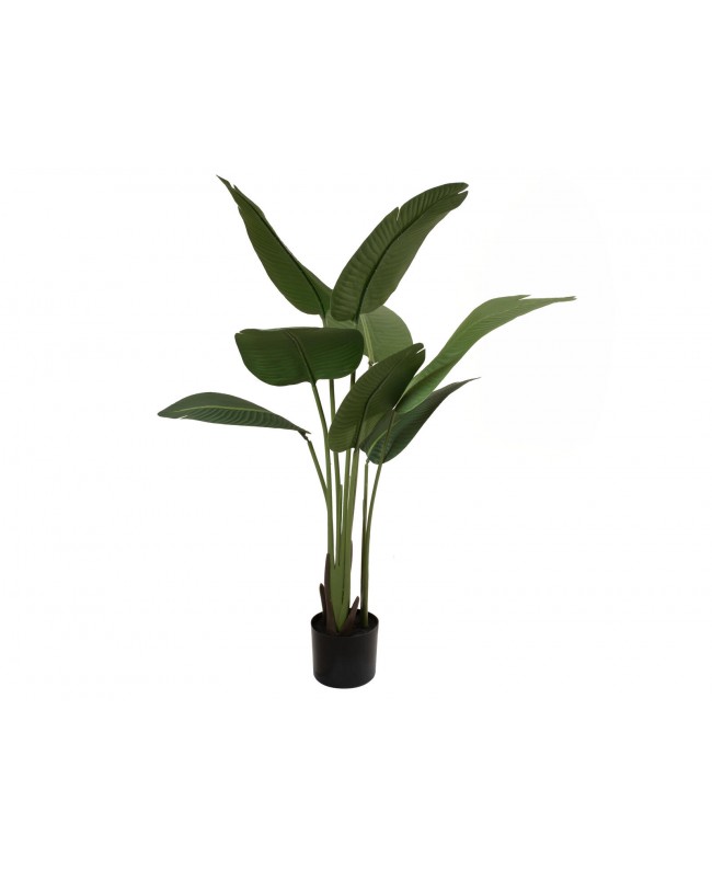 Europalms Strelitzie, Kunstpflanze, 110cm Blumen & Pflanzen