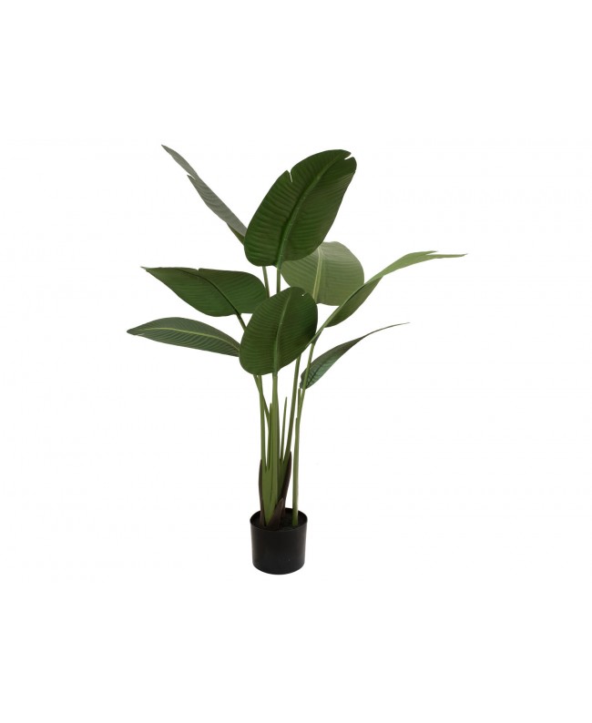 Europalms Strelitzie, Kunstpflanze, 110cm Blumen & Pflanzen