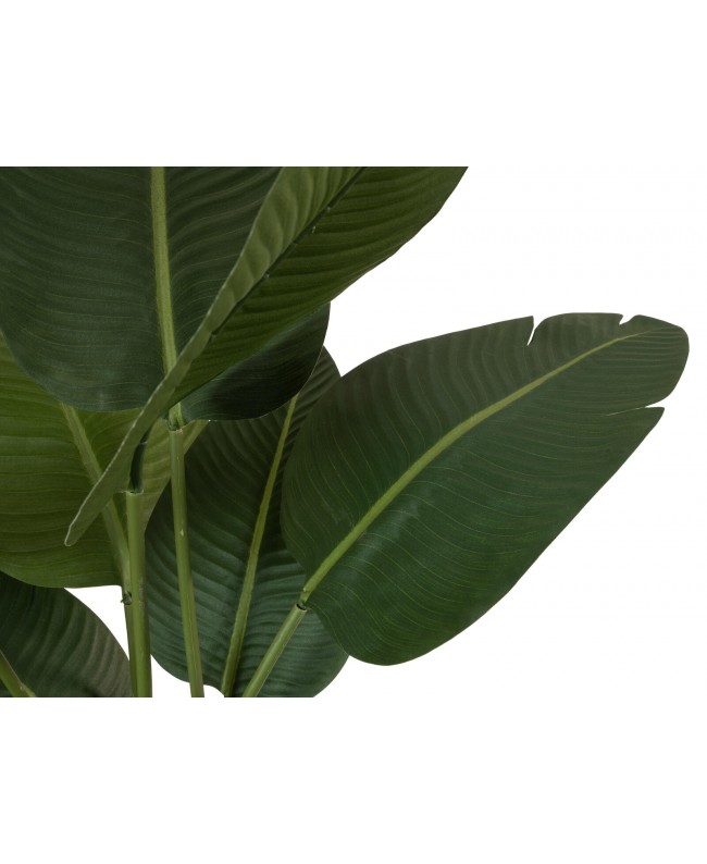 Europalms Strelitzia, artificial plant, 110cm Flowers & Plants