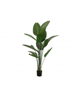 Europalms Strelitzia, artificial plant, 170cm Flowers & Plants
