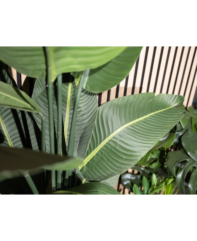 Europalms Strelitzia, artificial plant, 170cm Flowers & Plants
