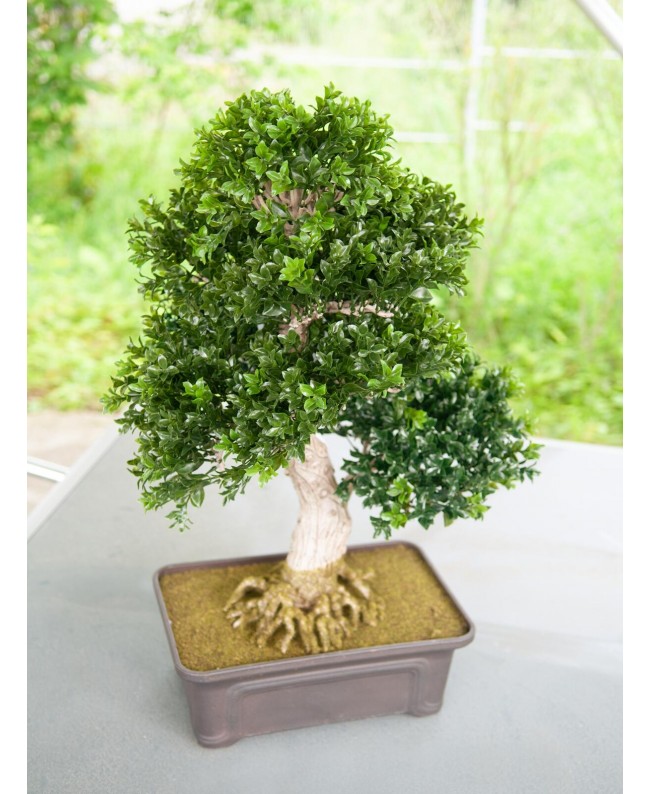 Europalms Bonsai, artificial plant, 61 cm Flowers & Plants