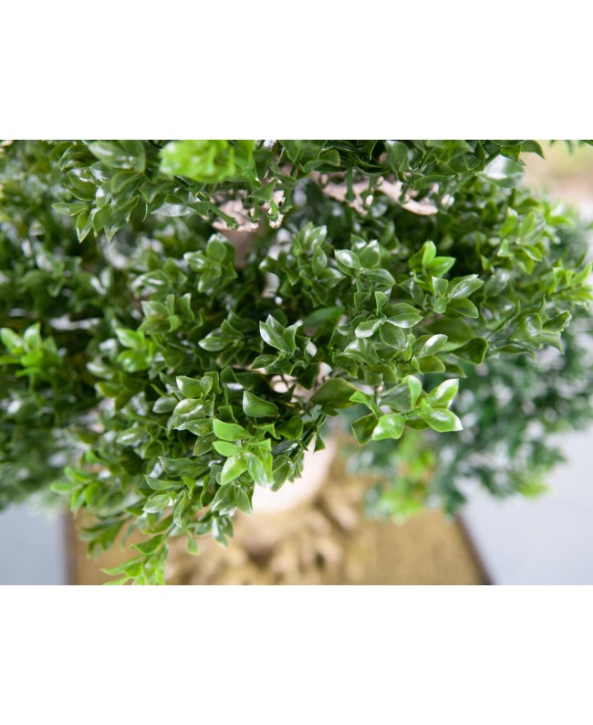 Europalms Bonsai, artificial plant, 61 cm Fiori & piante