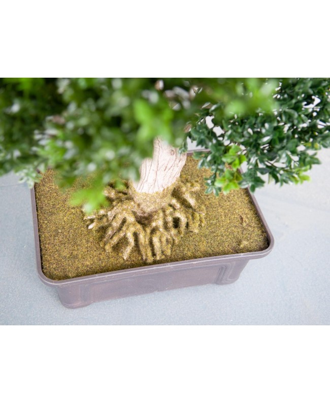 Europalms Bonsai, artificial plant, 61 cm Fiori & piante